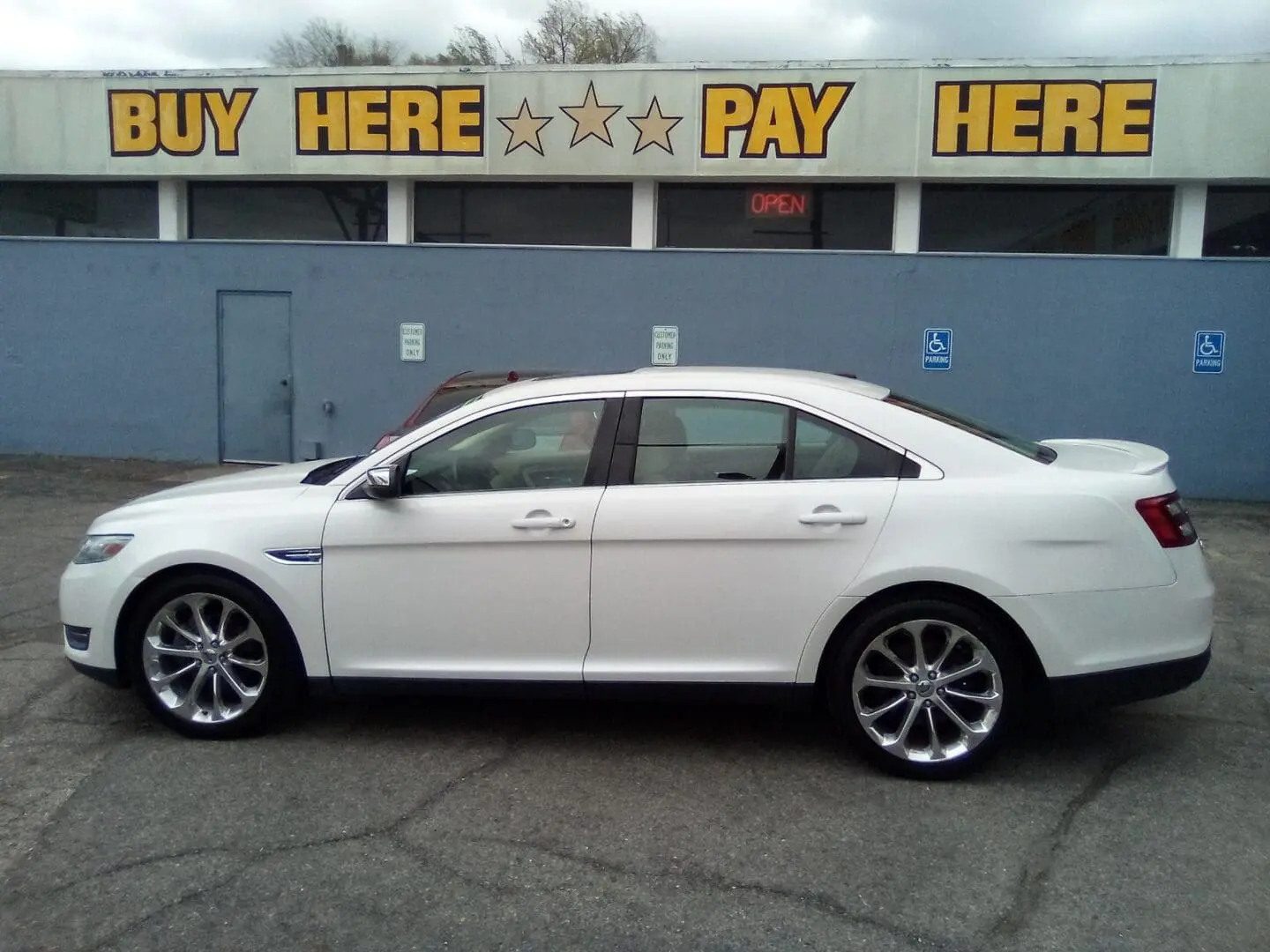 1343 taurus white
